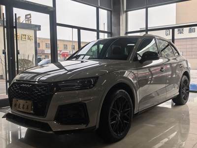 2019年4月 奧迪 奧迪Q5L 40 TFSI 榮享進(jìn)取型 國(guó)VI圖片