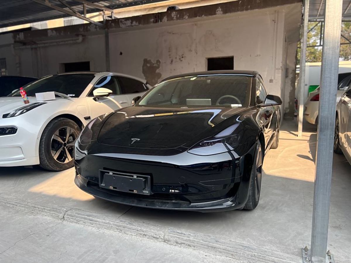 特斯拉 Model 3  2021款 改款 標準續(xù)航后驅(qū)升級版圖片