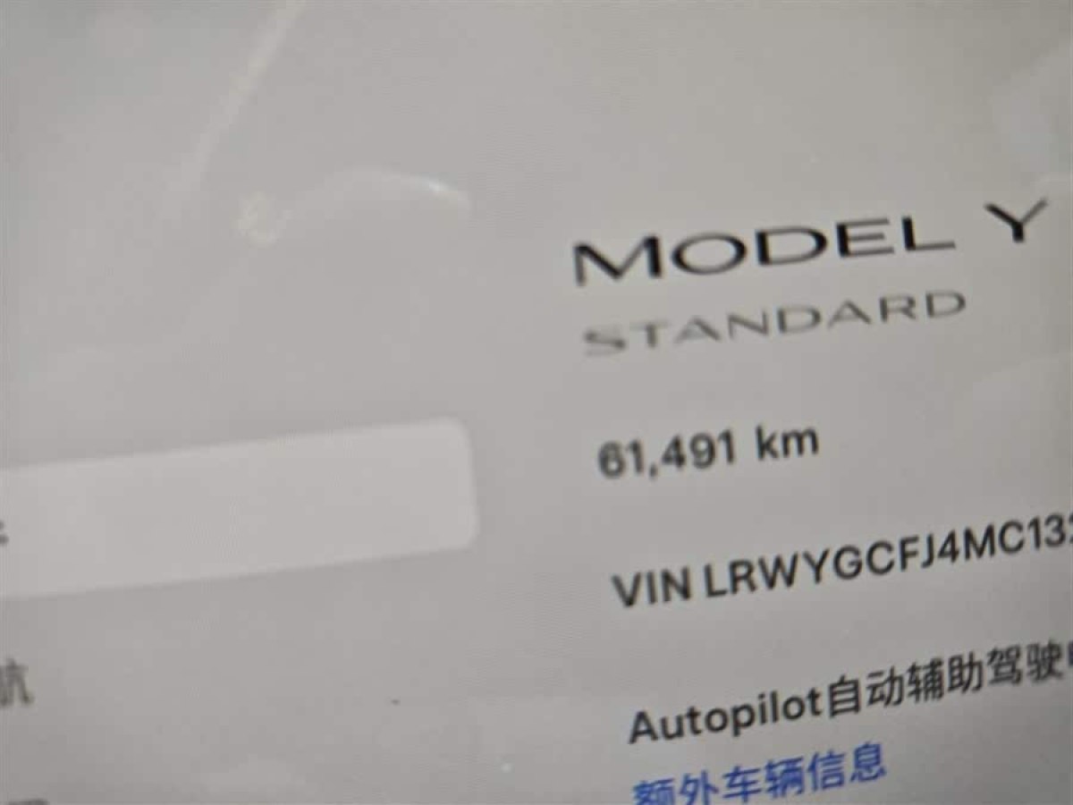 特斯拉 Model Y  2021款 標(biāo)準(zhǔn)續(xù)航后驅(qū)版圖片