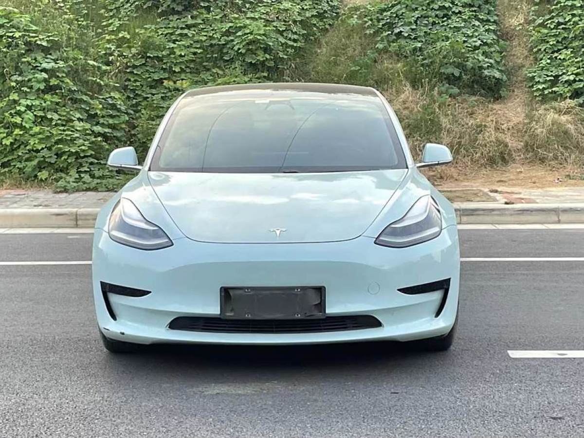 2021年1月特斯拉 Model Y  2020款 改款 標準續(xù)航后驅(qū)升級版