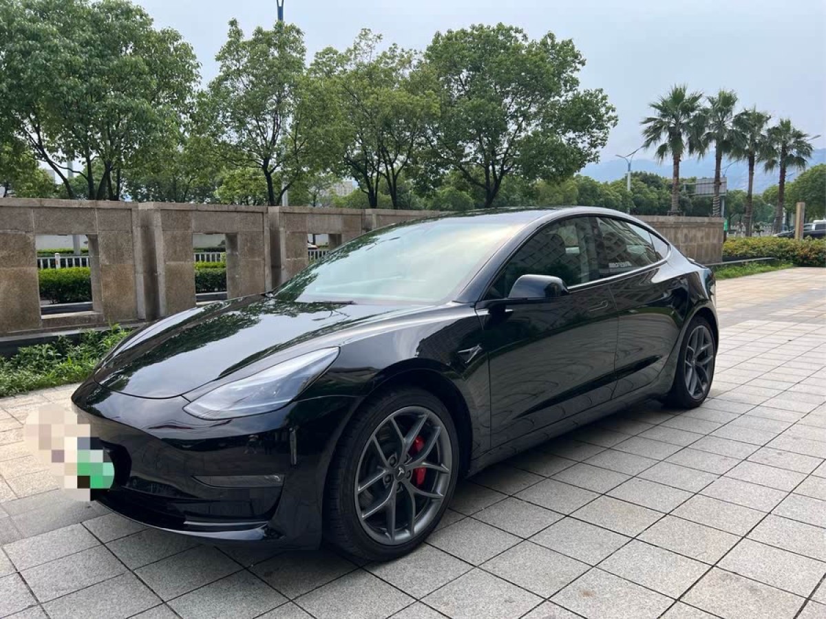 特斯拉 Model 3  2022款 Performance高性能全輪驅動版圖片