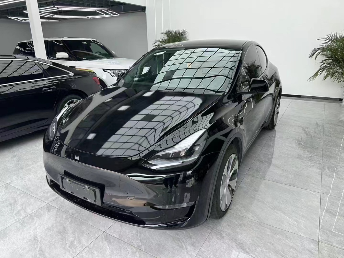 2021年05月特斯拉 Model 3  2021款 長續(xù)航全輪驅(qū)動版