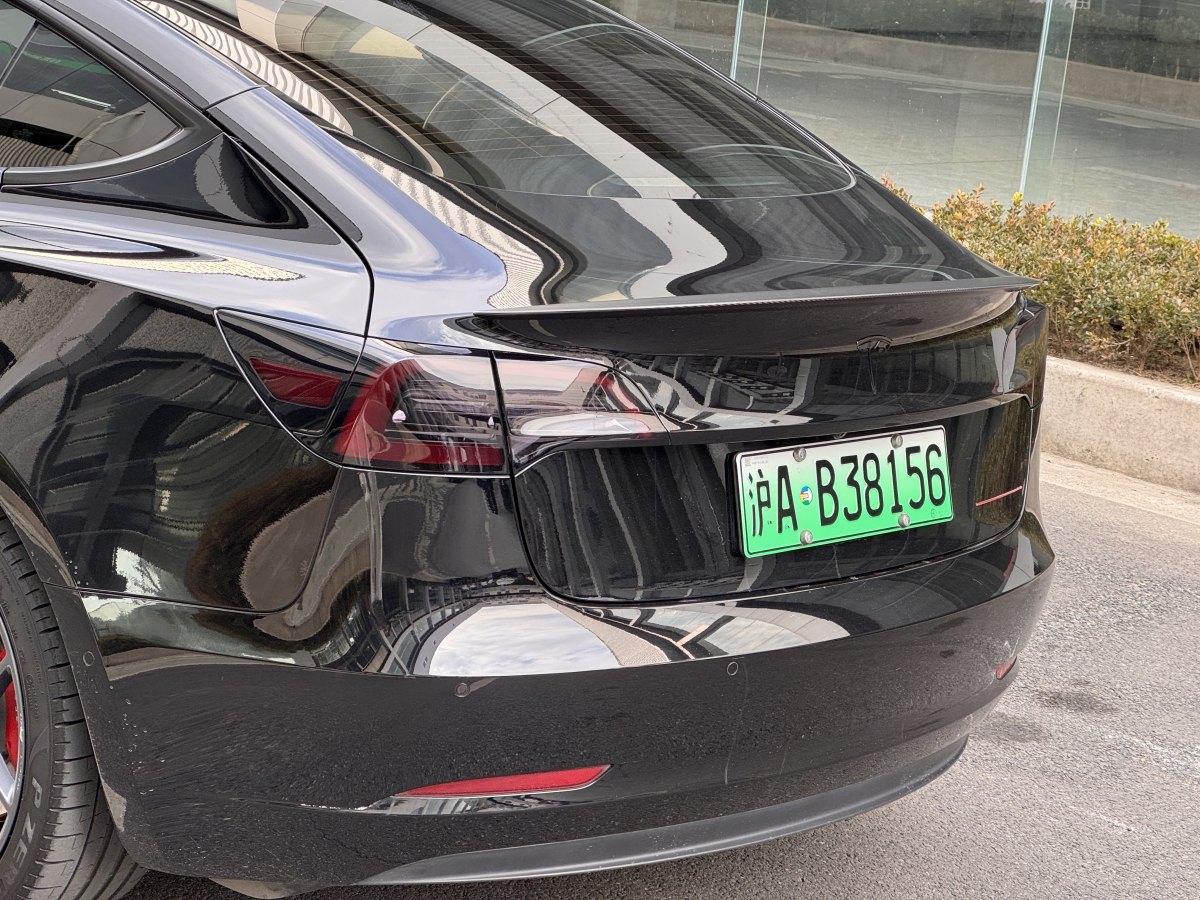 特斯拉 Model 3  2019款 Performance高性能全輪驅(qū)動版圖片