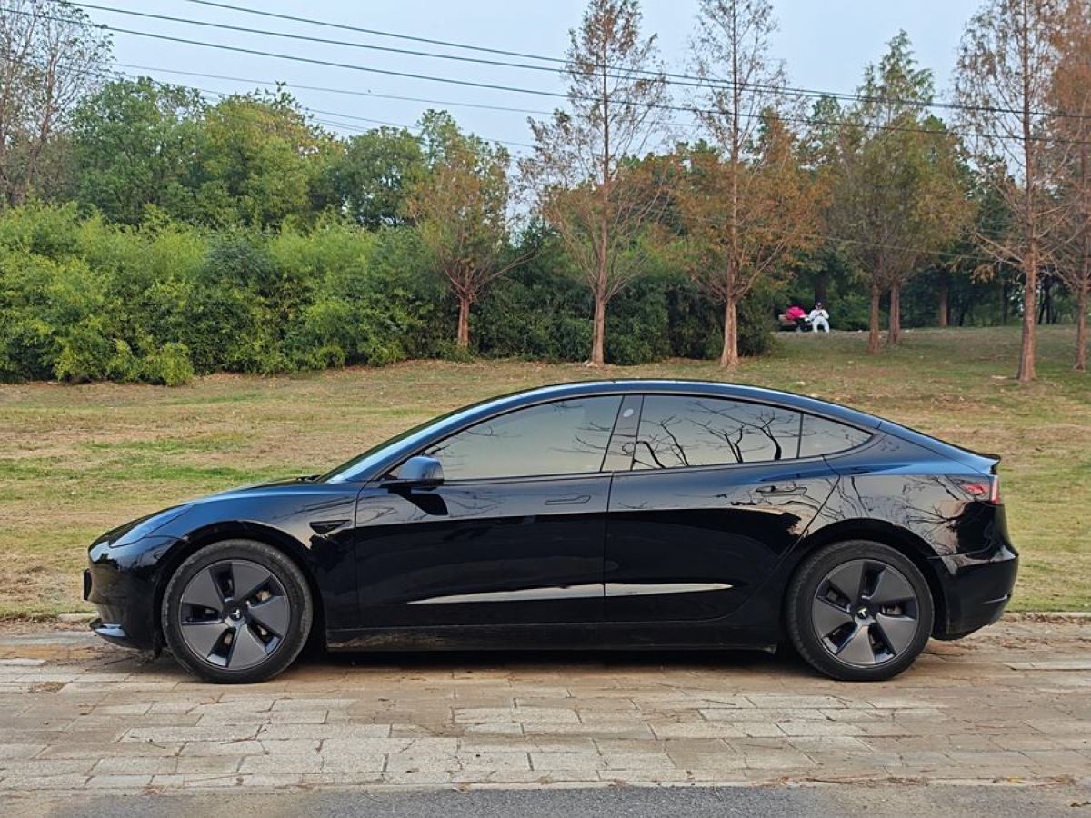 特斯拉 Model 3  2021款 改款 標(biāo)準(zhǔn)續(xù)航后驅(qū)升級版圖片