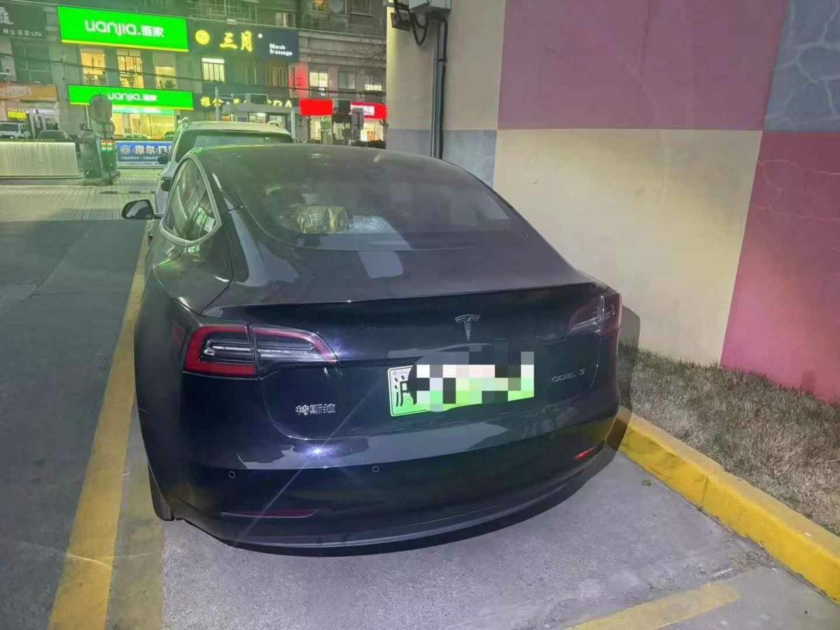 特斯拉 Model 3  2020款 標(biāo)準(zhǔn)續(xù)航后驅(qū)升級(jí)版圖片