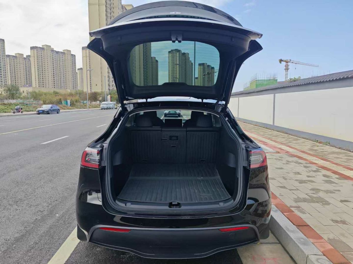 特斯拉 Model Y  2024款 Performance高性能版圖片