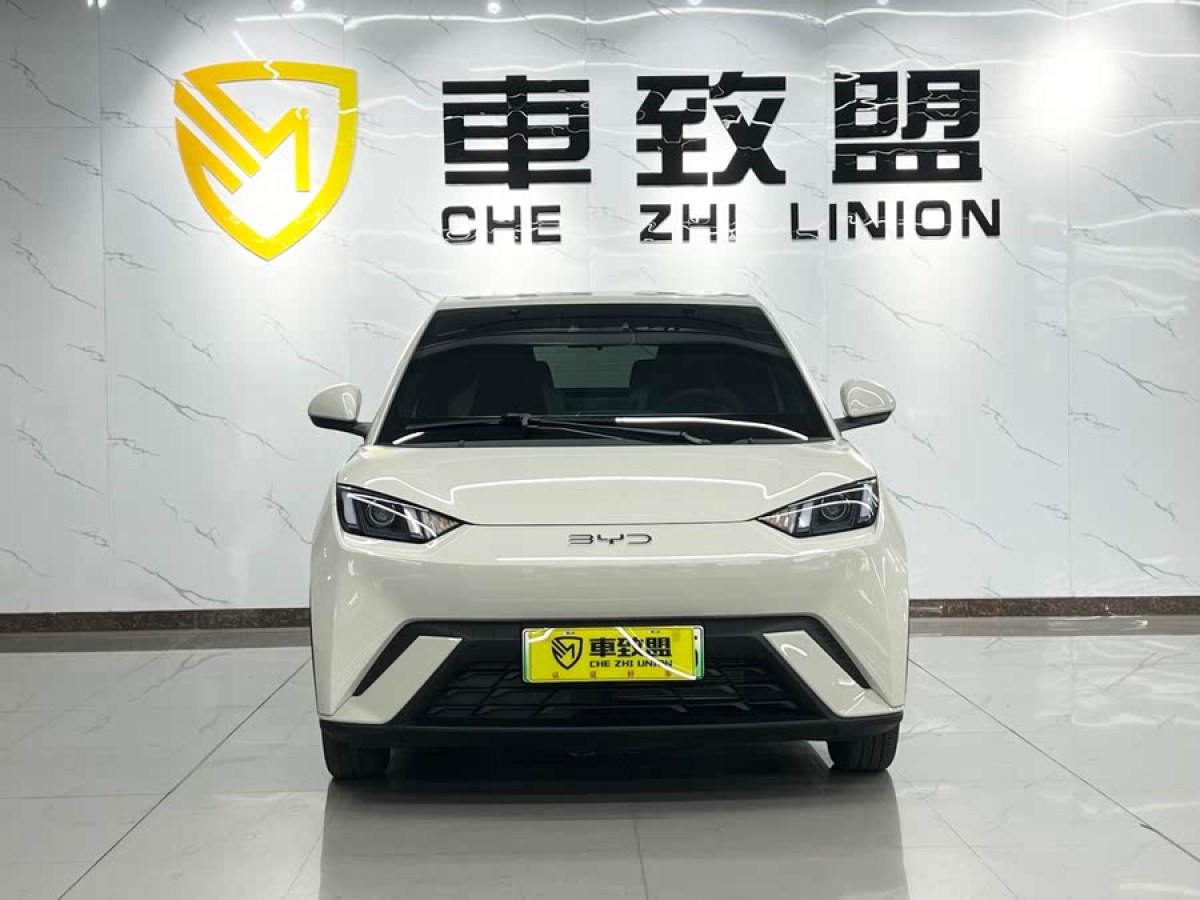 比亞迪 海鷗  2024款 榮耀版 305km 活力版圖片