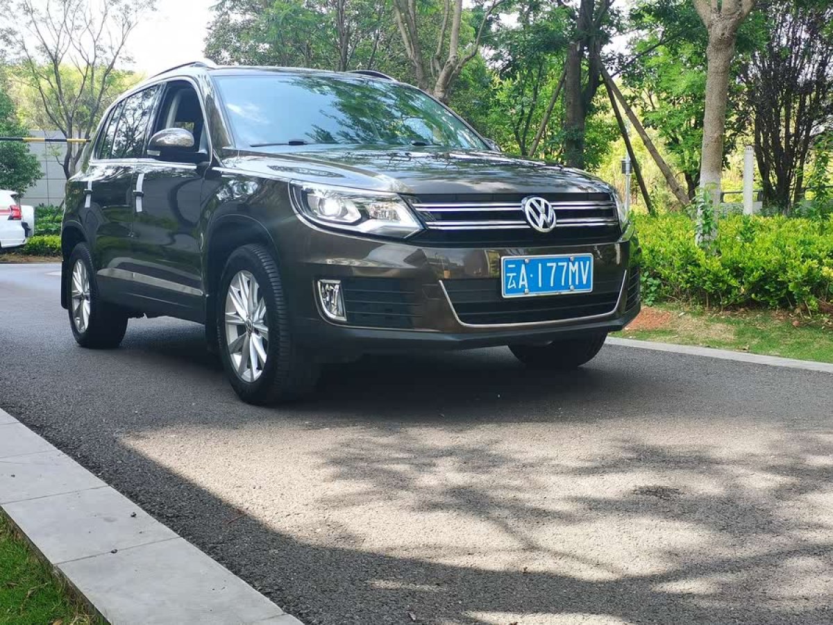 大眾 途觀  2017款 300TSI 自動兩驅絲綢之路舒適版圖片