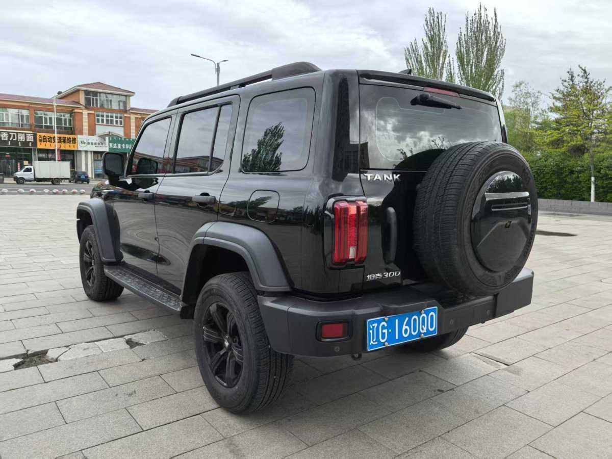 坦克 坦克300  2021款 城市版 2.0T 我看型圖片