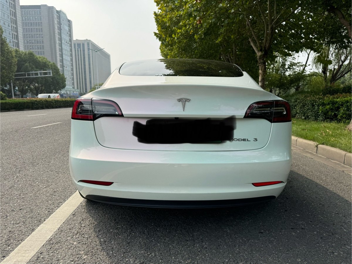 特斯拉 Model 3  2022款 改款 后輪驅(qū)動(dòng)版圖片