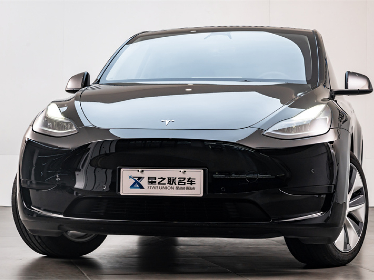 特斯拉 Model Y 22款 改款 后輪驅(qū)動版圖片