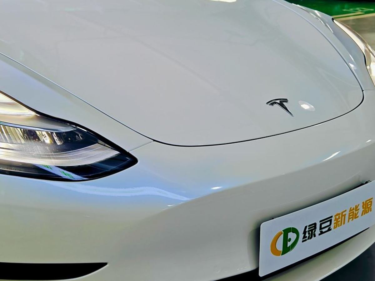 特斯拉 Model 3  2020款 改款 標(biāo)準(zhǔn)續(xù)航后驅(qū)升級版圖片