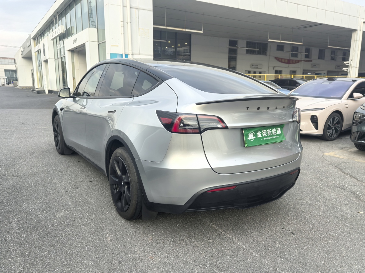 特斯拉 Model 3  2020款 改款 長續(xù)航后輪驅(qū)動版圖片