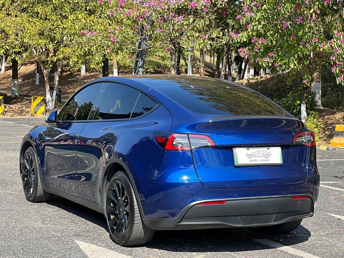 特斯拉 Model Y  2021款 改款 長續(xù)航全輪驅(qū)動(dòng)版圖片