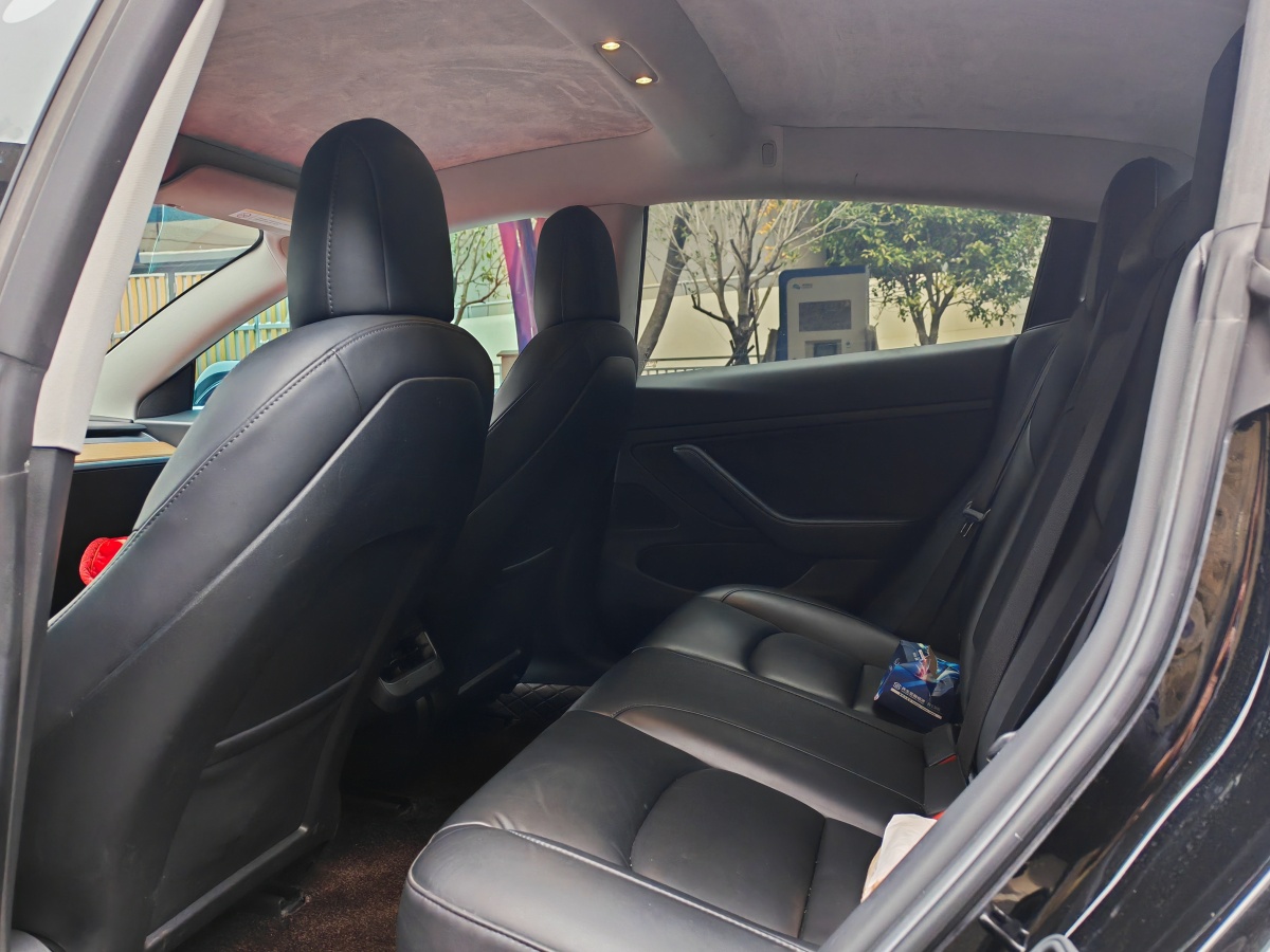 特斯拉 Model 3  2021款 改款 標(biāo)準(zhǔn)續(xù)航后驅(qū)升級(jí)版圖片