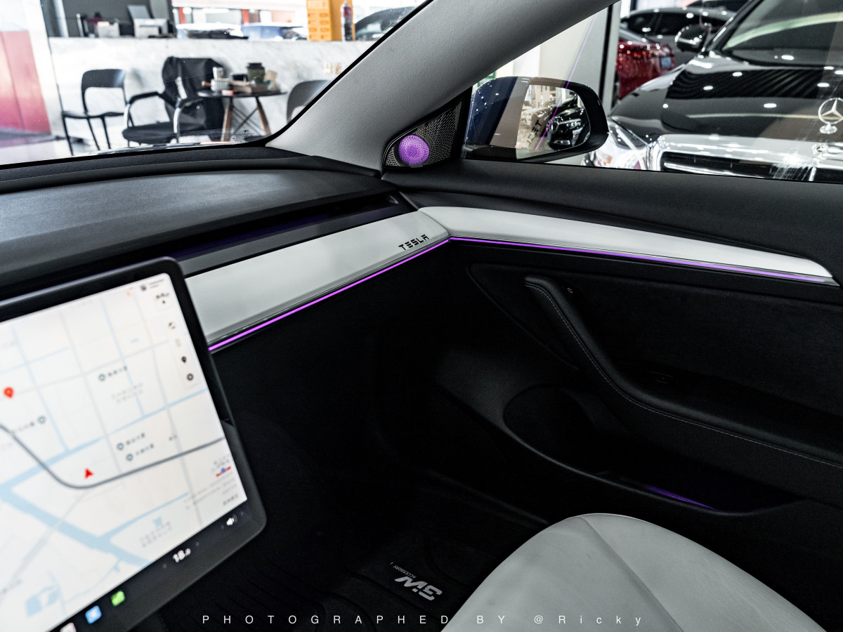 特斯拉 Model 3  2019款 Performance高性能全轮驱动版图片