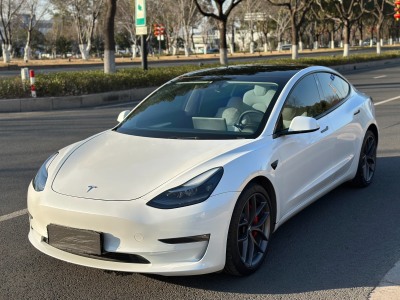 2021年7月 特斯拉 Model 3 Performance高性能全輪驅(qū)動版圖片