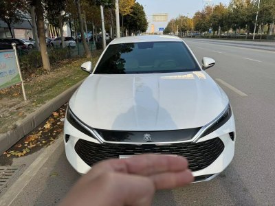 2024年8月 比亞迪 秦L DM-i 80KM領(lǐng)先型圖片