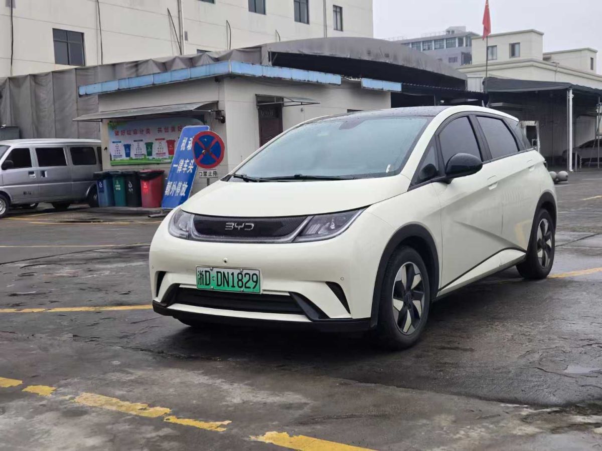比亞迪 海豚  2024款 榮耀版 302km 活力版圖片