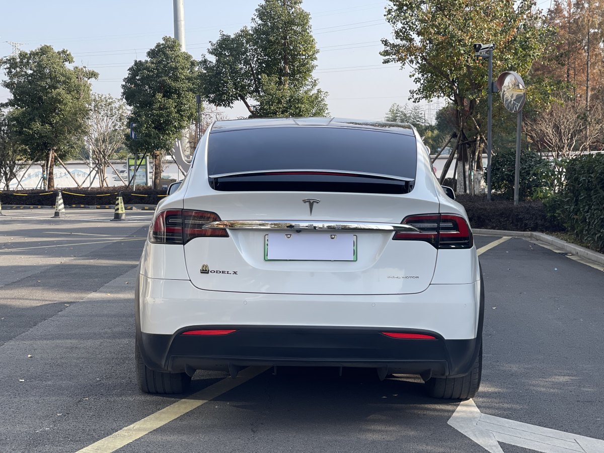 特斯拉 Model X  2019款 標(biāo)準(zhǔn)續(xù)航版圖片