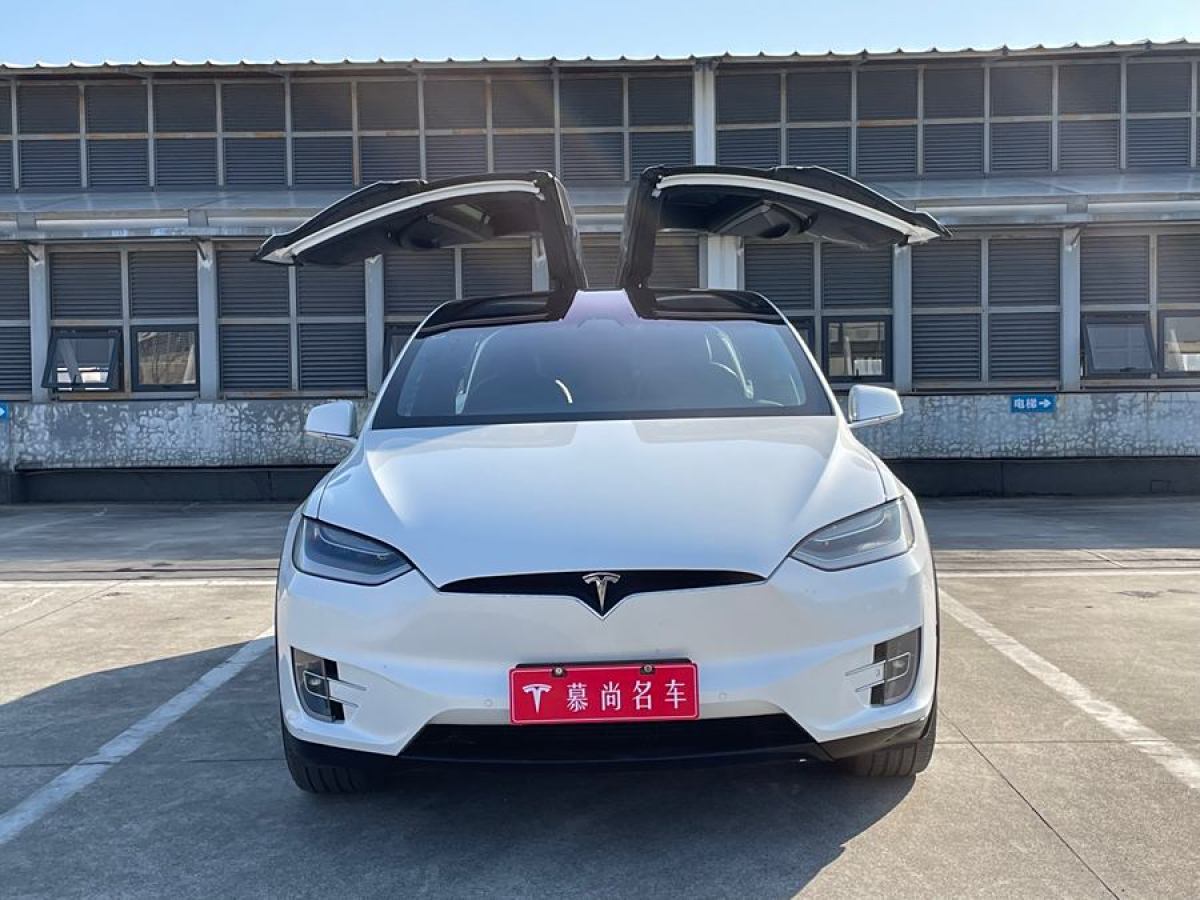 特斯拉 Model X  2019款 長續(xù)航版圖片