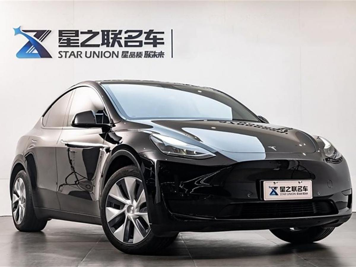 特斯拉 Model 3  2020款 改款 長續(xù)航后輪驅(qū)動版圖片