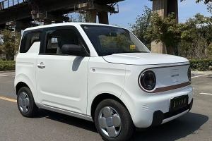 熊貓mini 吉利 200km 耐力熊