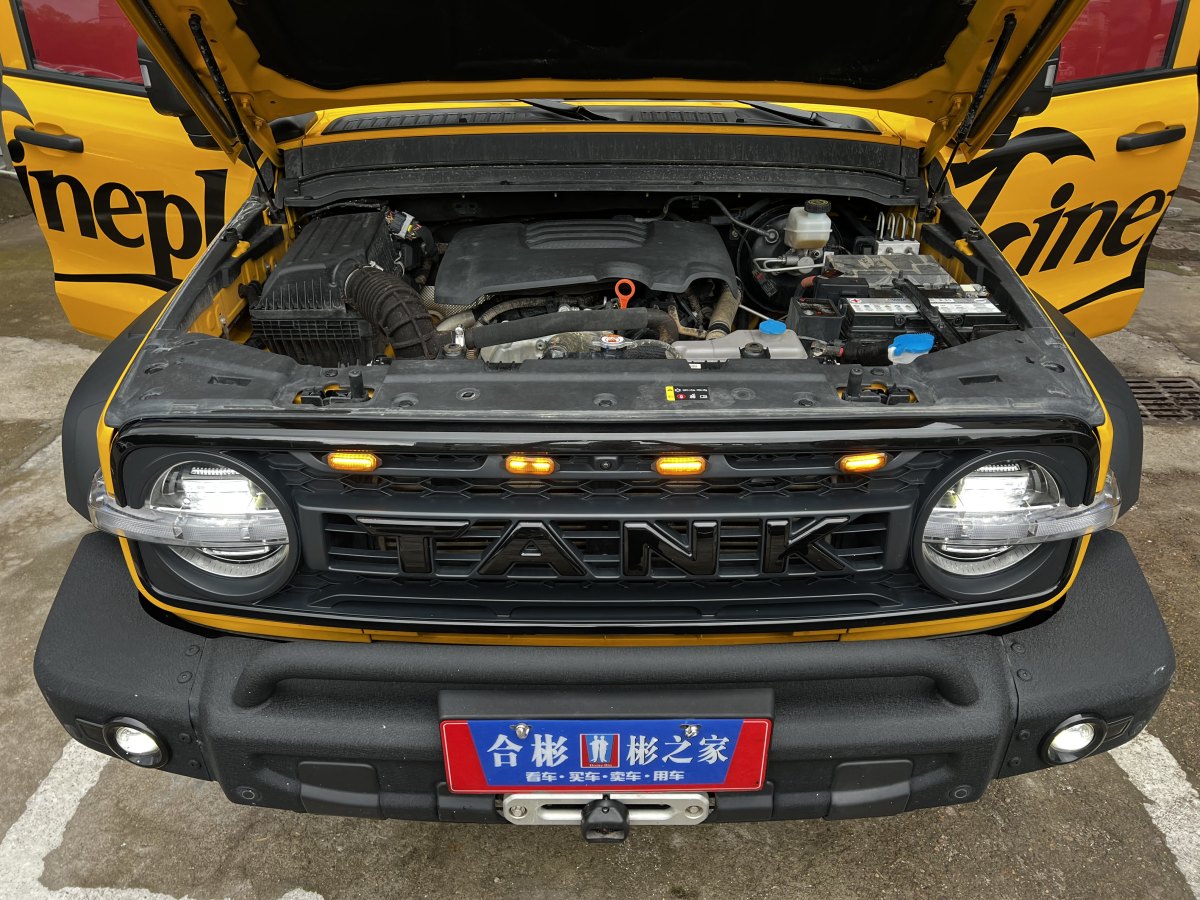 坦克 坦克300  2022款 2.0T 邊境限定版圖片
