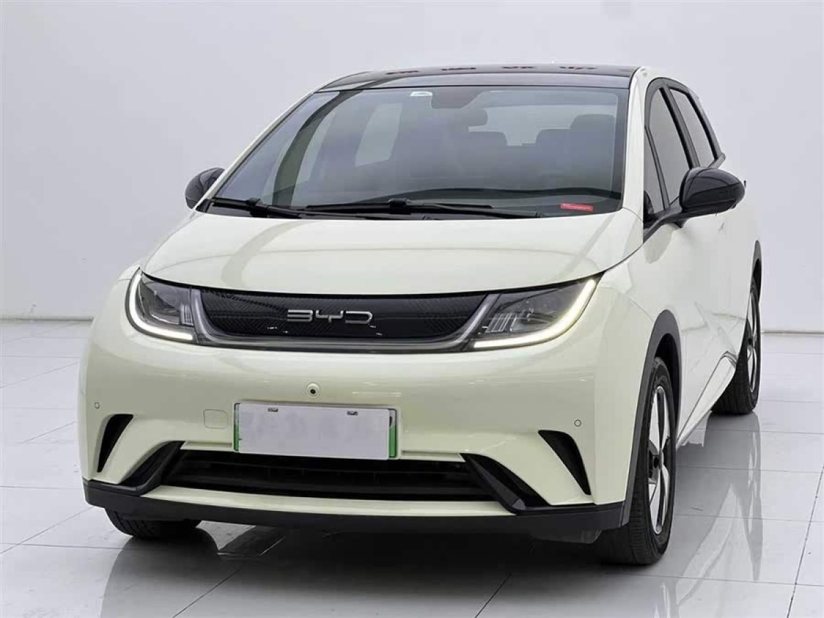 比亞迪 海豚  2023款 420km 時(shí)尚版圖片