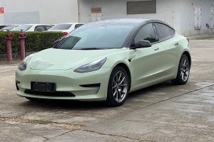 Model 3 特斯拉 改款 標(biāo)準(zhǔn)續(xù)航后驅(qū)升級(jí)版