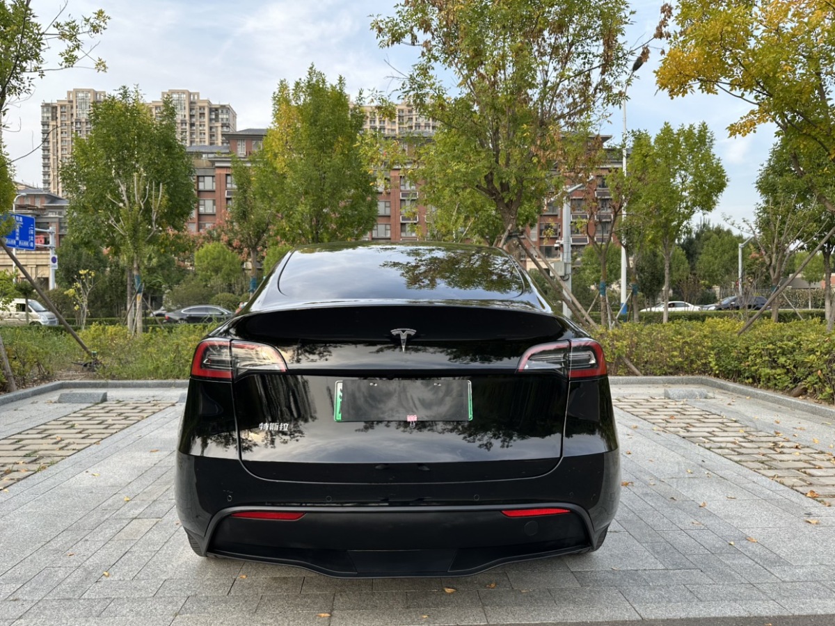 特斯拉 Model Y  2021款 改款 標(biāo)準(zhǔn)續(xù)航后驅(qū)升級(jí)版圖片