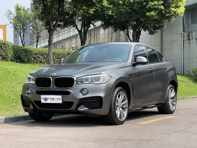 2019年5月 宝马 宝马X6(进口) xDrive28i M运动套装图片