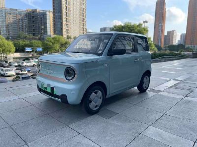 2025年1月 吉利 熊貓mini 210km 熊貓騎士圖片