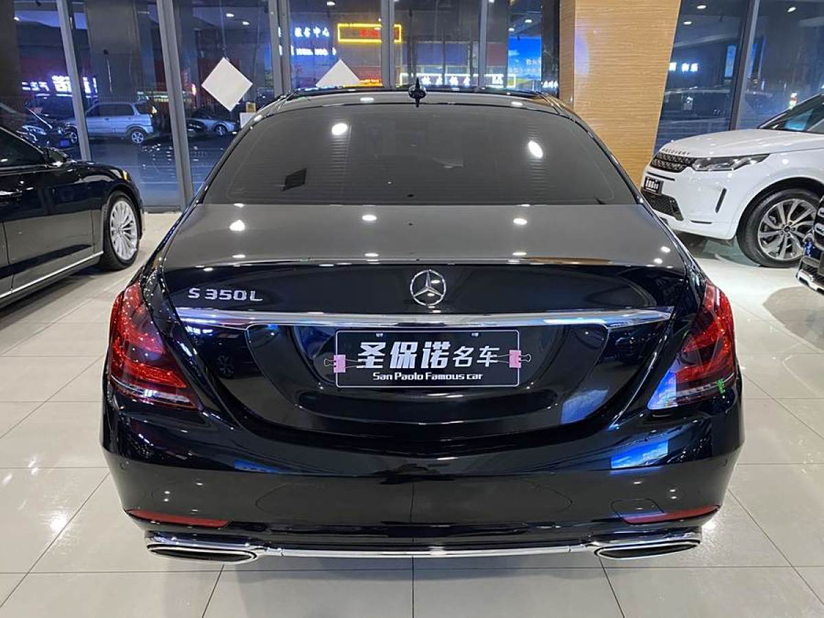 奔馳 奔馳S級  2019款 S 350 L 豪華型 臻藏版圖片