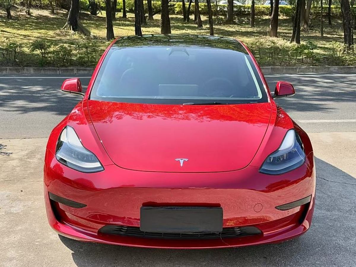 特斯拉 Model 3  2021款 改款 標準續(xù)航后驅(qū)升級版圖片