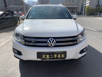 2012年12月 大众 Tiguan(进口) 2.0TSI 豪华版图片