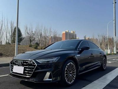 2024年7月 奧迪 奧迪A7L 45 TFSI 豪華型圖片