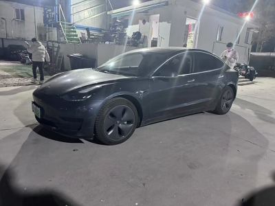 2020年8月 特斯拉 Model 3 改款 標(biāo)準(zhǔn)續(xù)航后驅(qū)升級版圖片