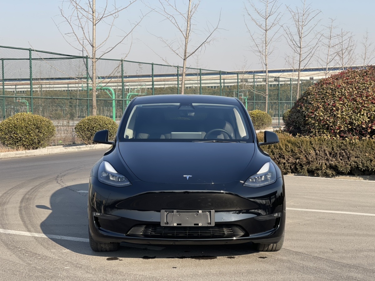 特斯拉 Model 3  2021款 改款 標準續(xù)航后驅(qū)升級版圖片