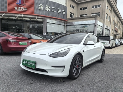 2021年2月 特斯拉 Model 3 Performance高性能全輪驅(qū)動(dòng)版圖片