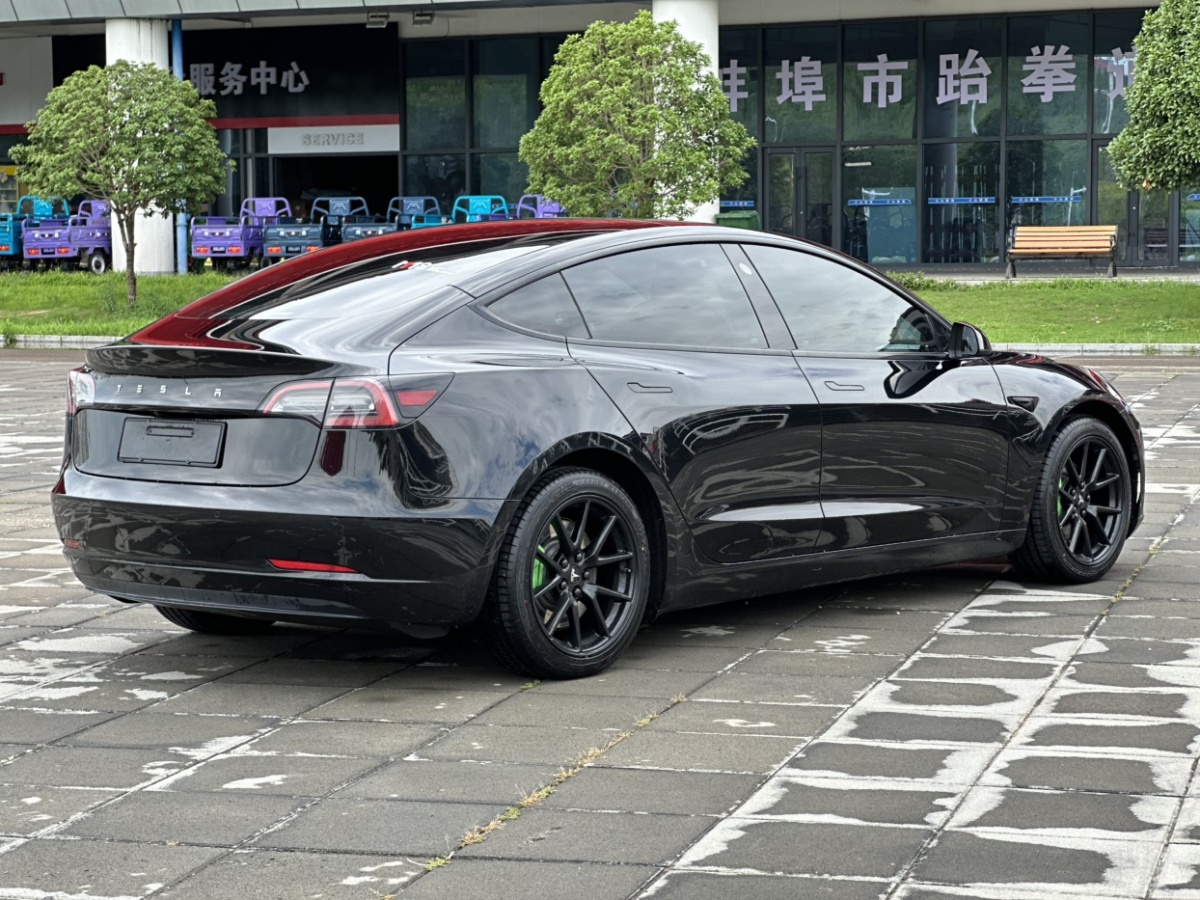 特斯拉 Model 3  2019款 標(biāo)準(zhǔn)續(xù)航后驅(qū)升級(jí)版圖片