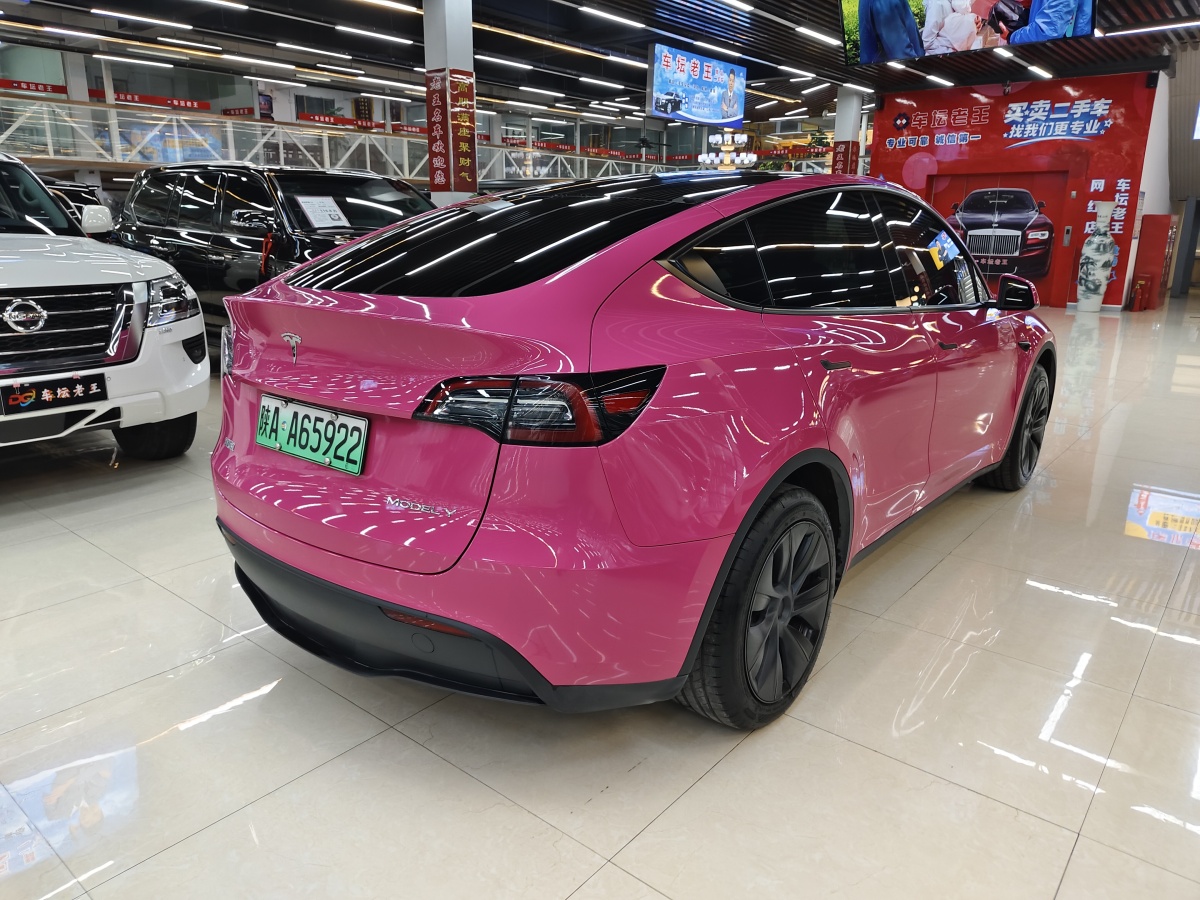 特斯拉 Model Y  2020款 改款 長續(xù)航后輪驅(qū)動版圖片