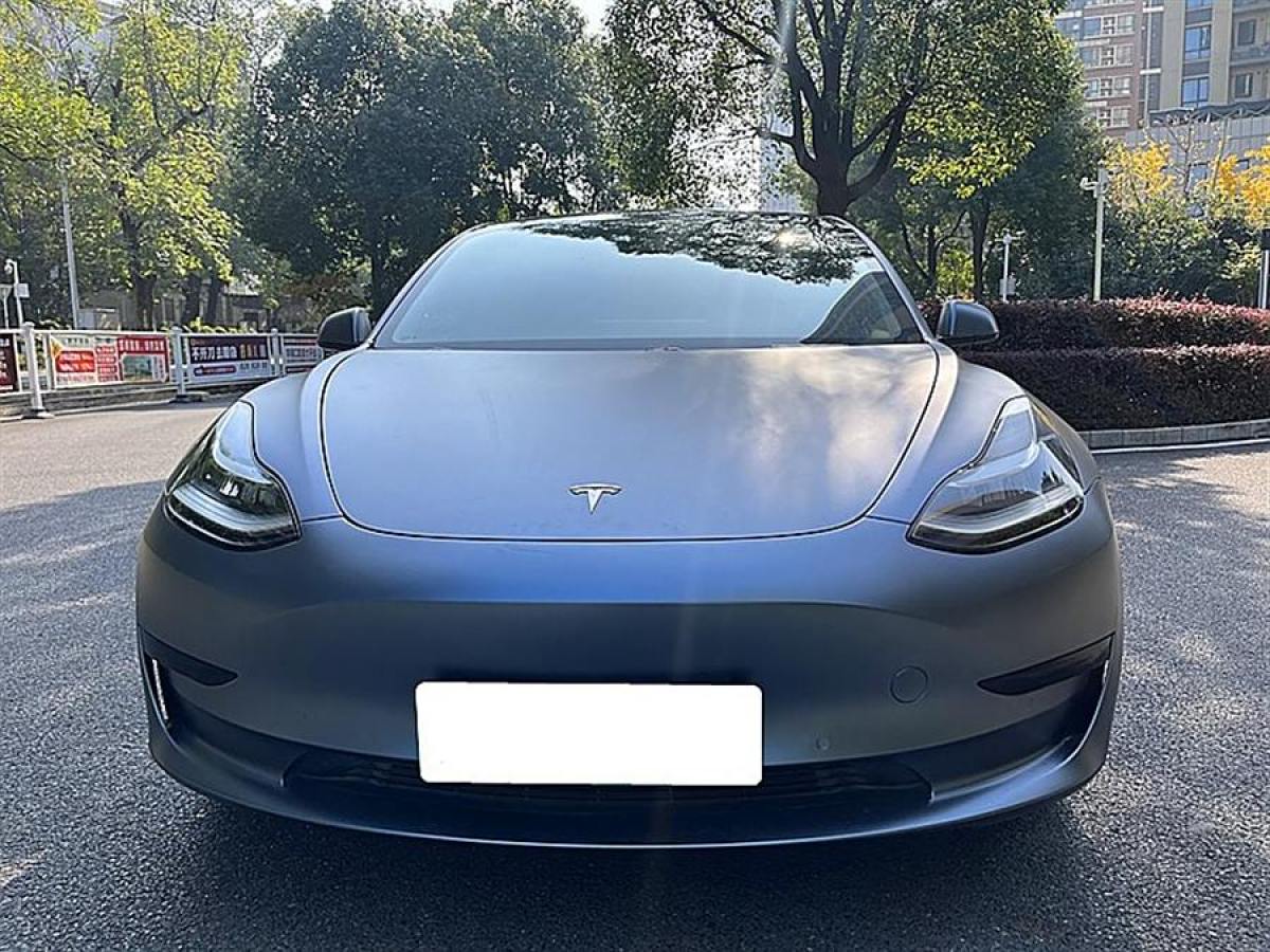 特斯拉 Model 3  2020款 改款 標(biāo)準(zhǔn)續(xù)航后驅(qū)升級(jí)版圖片