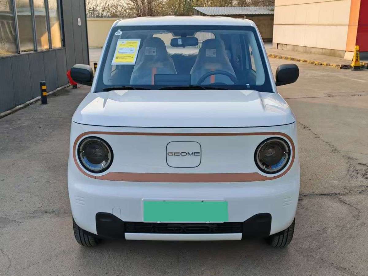 2024年12月吉利 熊貓mini  2024款 熊貓mini 200km 耐力熊