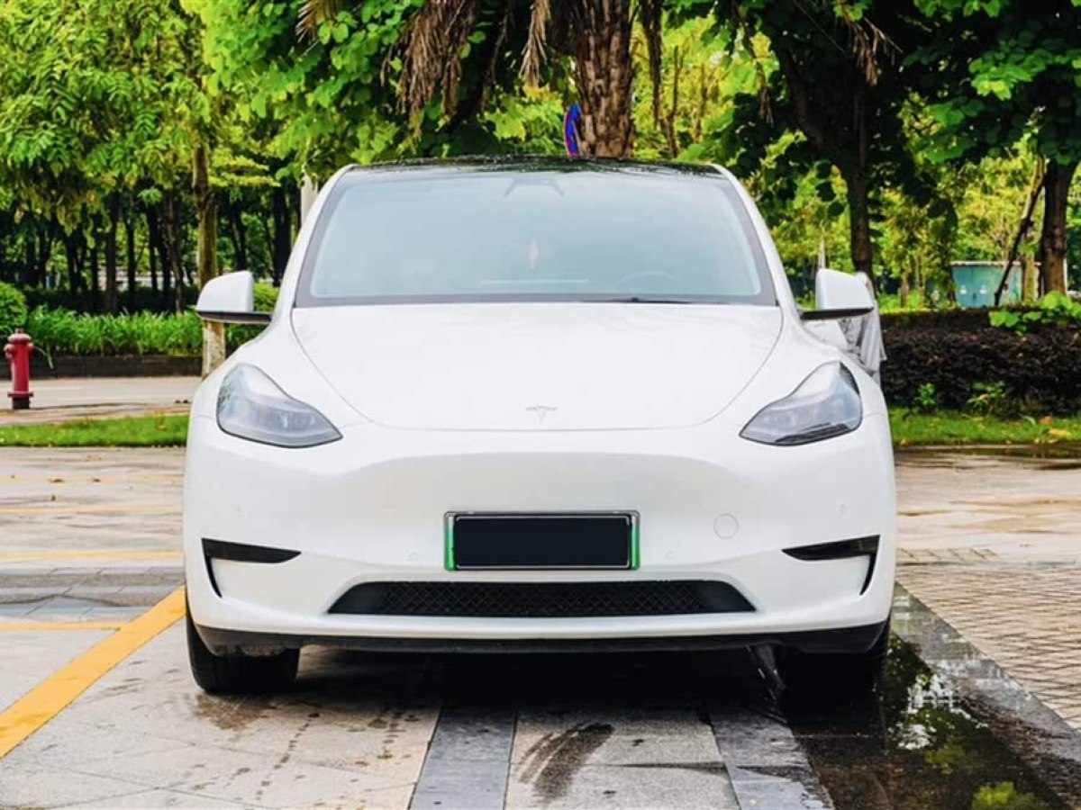 特斯拉 Model Y  2022款 改款 后輪驅(qū)動版圖片