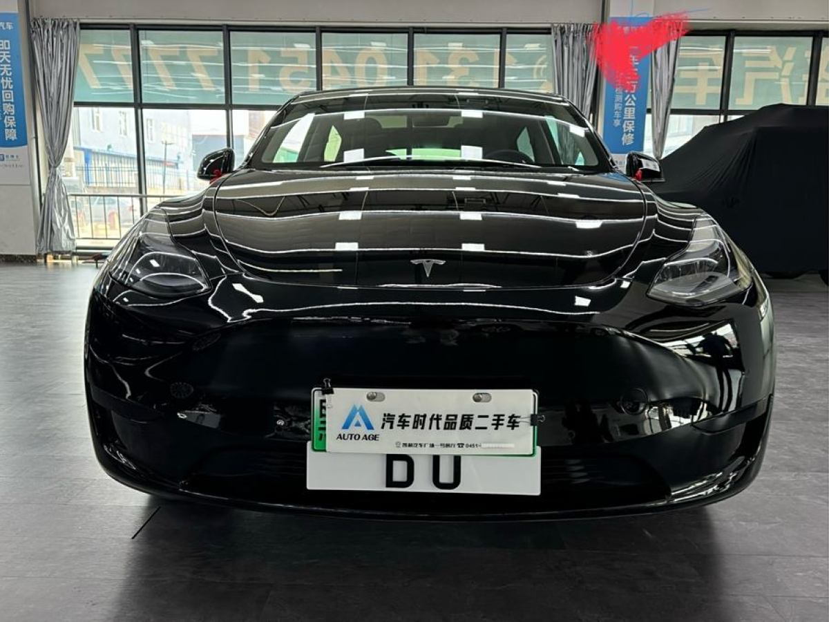 2022年11月特斯拉 Model 3  2022款 后輪驅(qū)動(dòng)版