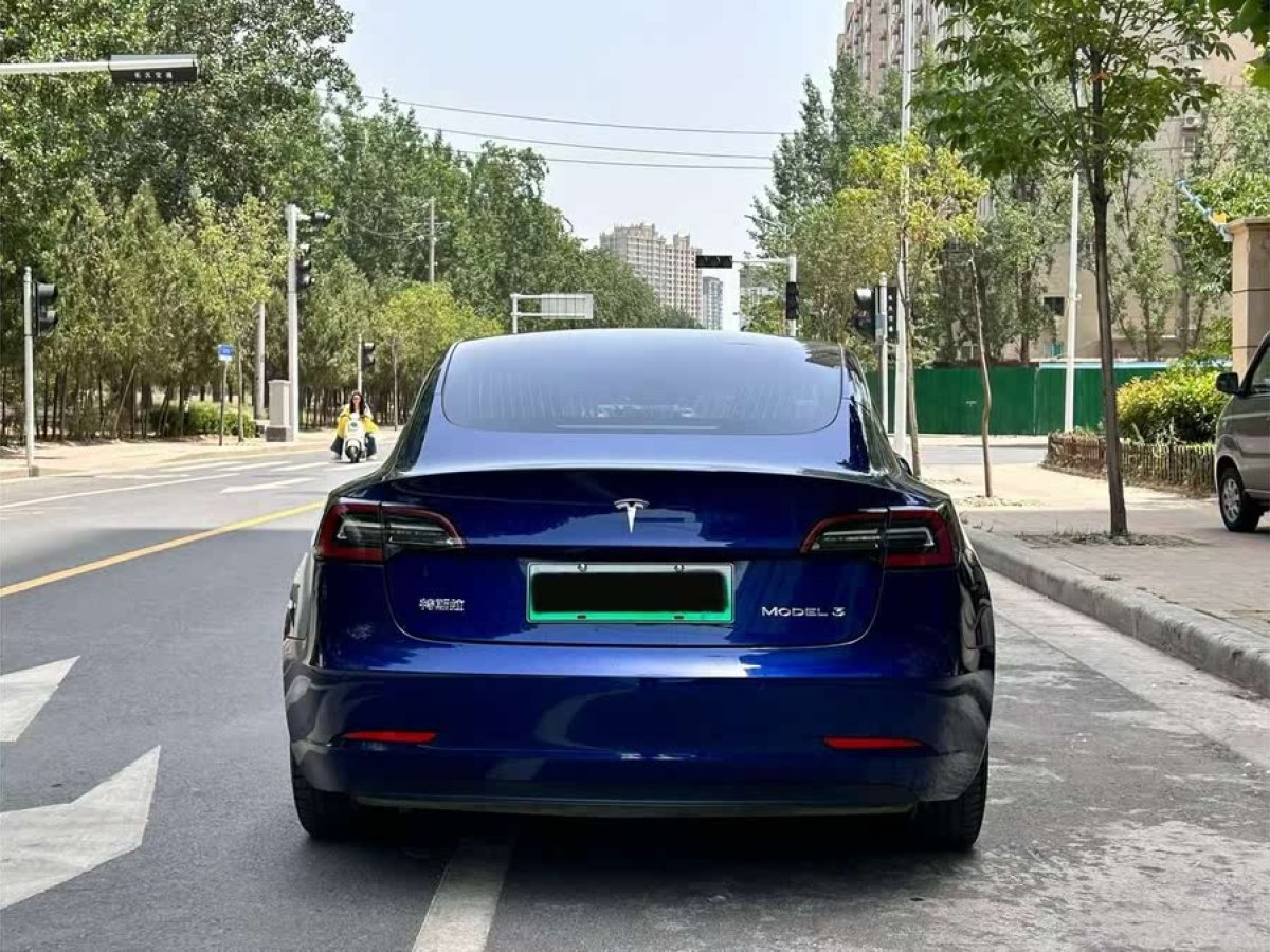 特斯拉 Model 3  2019款 標準續(xù)航后驅(qū)升級版圖片
