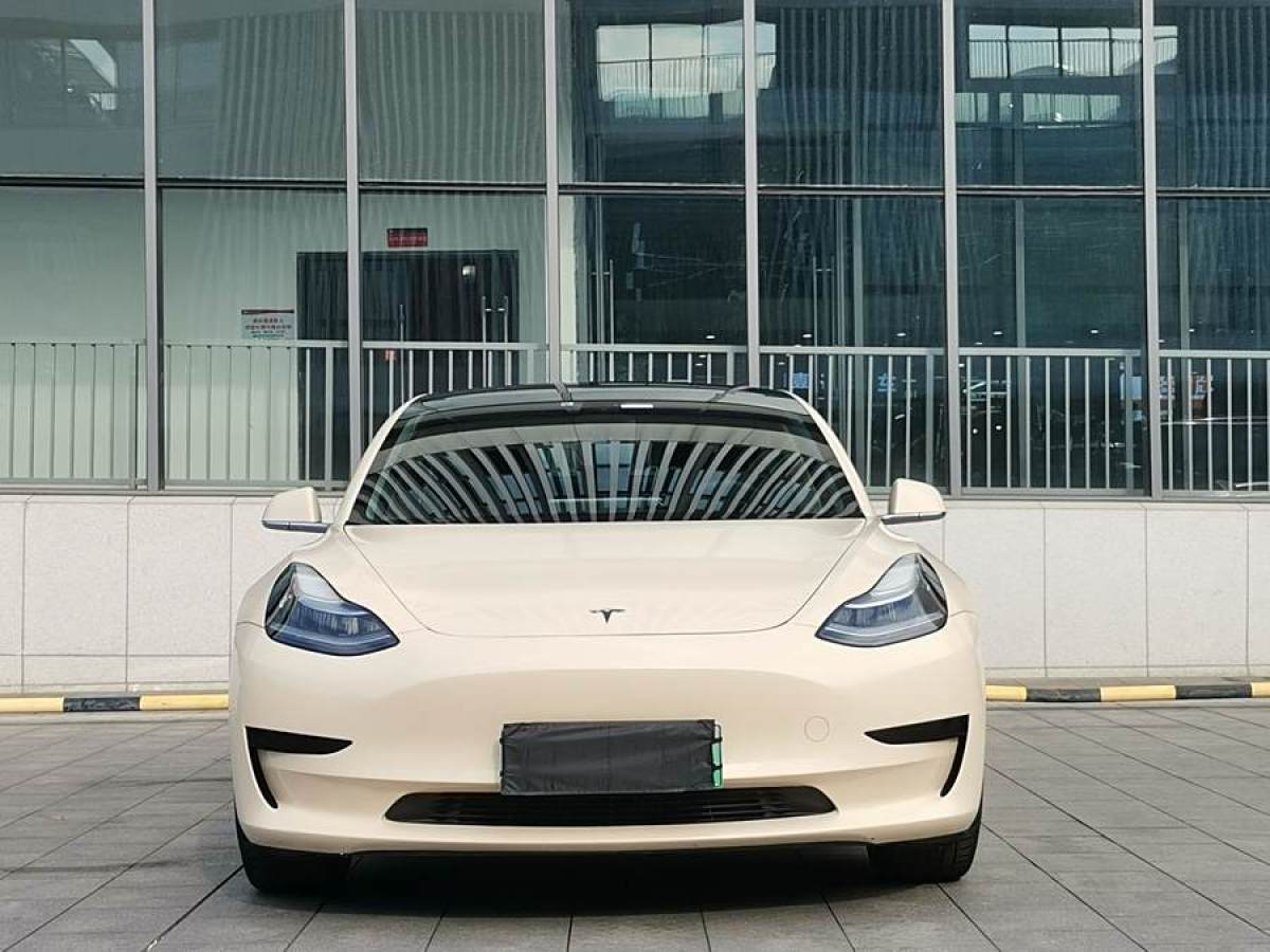 特斯拉 Model 3  2020款 改款 標(biāo)準(zhǔn)續(xù)航后驅(qū)升級版圖片