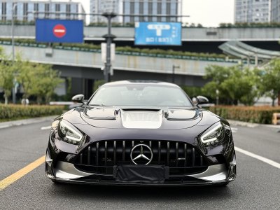 2021年2月 奔馳 奔馳AMG GT AMG GT R圖片