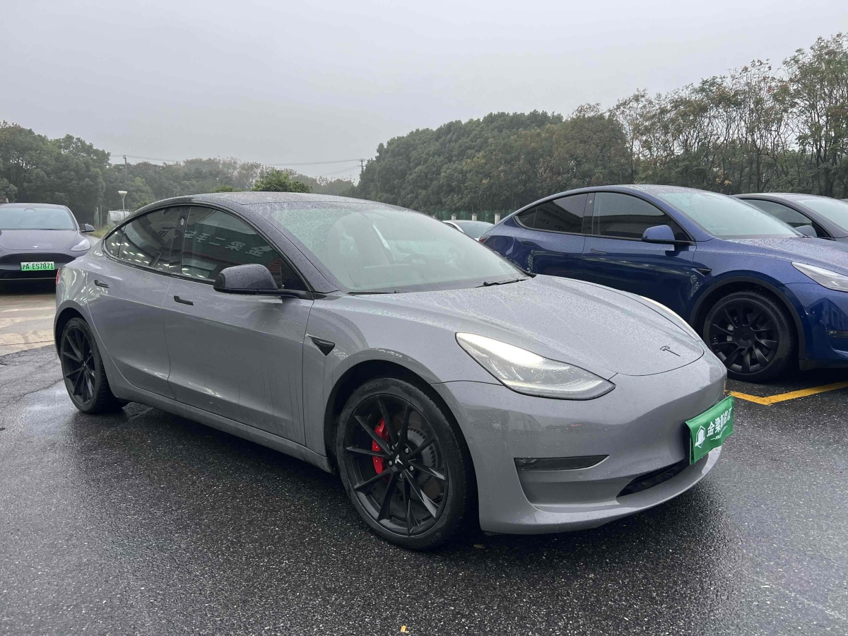 特斯拉 Model 3  2019款 Performance高性能全輪驅(qū)動版圖片